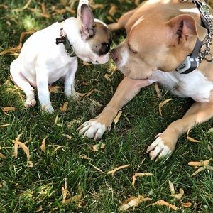 Meet your Posher, Beth